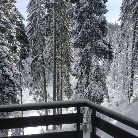 & In Daire Pamporovo