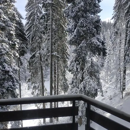 & In Daire Pamporovo